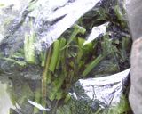 ほうれん草の冷凍保存方作り方7写真