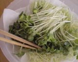 キャベツとかいわれのコールスロー作り方1写真