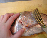 清湯清蒸魚（蒸し魚の澄ましスープかけ）作り方10写真