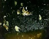 柔らか鶏むね肉のにんにく醤油(改訂版)作り方7写真