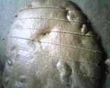 簡単ザクザク全粒粉のビスコッティ作り方7写真