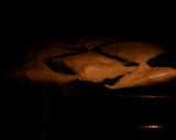 揚げないサモサ風春巻き✽工程つき✽作り方23写真