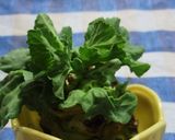 キャベツの芯から葉っぱが♪作り方2写真