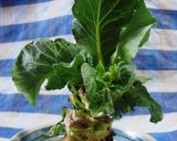 キャベツの芯から葉っぱが♪作り方3写真