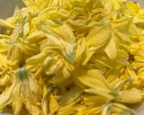 菊の花の甘酢漬け作り方1写真