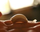 コク重視のスパゲティミートソース作り方4写真