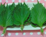 大葉サラダ作り方4写真