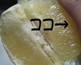 ◇ヨーグルト風noつぶサワードリンク◇作り方11写真