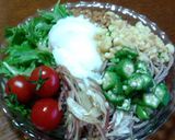 冷やし納豆たぬきサラダそば★作り方5写真