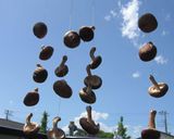 干し椎茸の作り方（椎茸のバター焼き）作り方1写真