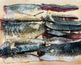 大葉と生姜で食べる、炙りしめアジ作り方4写真