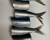 炊飯器で簡単！お好きなお魚でトマト煮作り方1写真