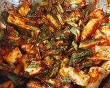 キムチ麹作り方5写真