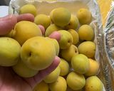 梅の追熟方法作り方14写真