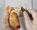 血液サラサラ！新生姜の甘酢漬け作り方1写真