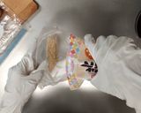 ［防災レシピ］乾パンでおはぎ作り方6写真