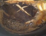 カレイの煮付け作り方5写真