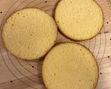 おいしいケーキのスポンジ★作り方18写真