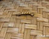 とろんとろん仕上げ★我が家自慢の茶碗蒸し作り方1写真