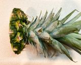 【糖尿病】パイナップルの冷蔵保存作り方2写真