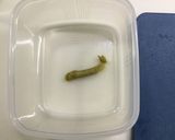茄子の浅漬作り方4写真