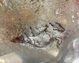 鶏ももとさつまいも・れんこん・舞茸のオイ炒め作り方3写真