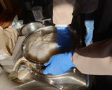 手作りこんにゃく作り方8写真