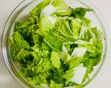 ワンボウルレンジ白菜と鶏もも肉のあんかけ作り方1写真