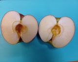 せいろで果物もイケる♪魅力的な蒸し林檎🍎作り方1写真