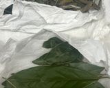 料理用ドライハーブの作り方作り方4写真