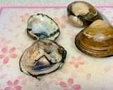 ホッキ貝の刺身（下処理方法）作り方3写真