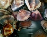 はまぐりのボンゴレビアンコ作り方1写真
