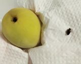 梅干しの下準備・漬け込み作り方3写真