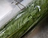 塩水で 簡単♪ かぶの葉の漬け物作り方1写真