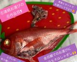春告魚♬ニシンの下処理♬尾頭付き➕️寄生虫作り方43写真