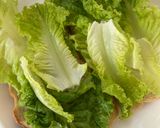 ヘルシーで美味しいアボカドのオープンサンド作り方5写真