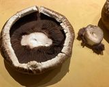 Rosemary Mushrooms作り方2写真