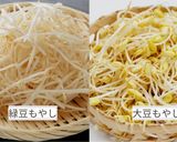 コスパ◎節約レシピ･【豆苗もやし炒め」作り方1写真