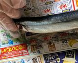 秋のレモン風味の秋刀魚パスタ作り方2写真