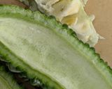 ゴーヤチャンプルー作り方1写真