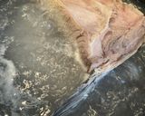 白飯が止まらないシリーズ - マグロのカマ煮付け作り方4写真
