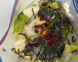 乳酸菌たっぷり！簡単白菜漬け作り方3写真
