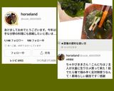 ★菜箸の便利な使い方作り方2写真
