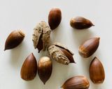 食べられるどんぐり スダジイ の食べ方作り方1写真