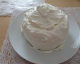 スウェーデンのプリンセスケーキ作り方34写真