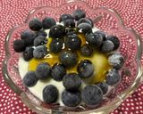 無糖ヨーグルトで作るフローズンベリー蜂蜜がけ🫐作り方5写真