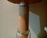 紅茶シフォンケーキ+.(´∀｀*).+ﾟ作り方15写真