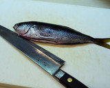 出刃がなくても魚を捌こう！タカベの刺身編作り方2写真