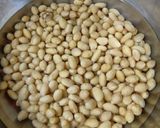 炊飯器で自家製味噌（生麹）作り方1写真