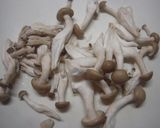 スパゲティー（アサリのトマトソース）作り方2写真